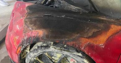 El Alfa habla sobre el incendio de su Bugatti