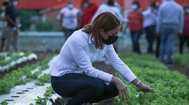 Supérate destaca rol protagónico mujer rural en erradicación de la pobreza