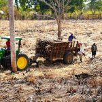 Federaciones y asociaciones de ganaderos agradecieron al presidente Luis Abinader, el apoyo brindado con la entrega de pacas de arroz, caña