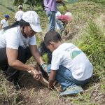 Alrededor de 150 empleados voluntarios del Grupo Popular sembraron más de 5,000 árboles en terrenos del Plan Sierra en El Batey de Cebú...