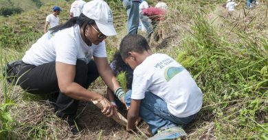 Alrededor de 150 empleados voluntarios del Grupo Popular sembraron más de 5,000 árboles en terrenos del Plan Sierra en El Batey de Cebú...