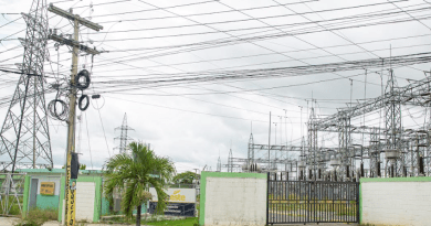 La ETED dará mantenimiento a los controles y protecciones de la subestación 69 kV Hainamosa - Tamarindo, como parte de los trabajos...