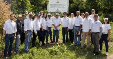 La ETED realizó una jornada de reforestación en el área protegida de la loma Isabel de Torres, donde fueron sembradas más de 800 plantas...