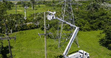 La ETED trabajará en las líneas 69 kV Palamara – BNV y 69 kV Buena Vista – Higüey, como parte de los mantenimientos programados esta semana