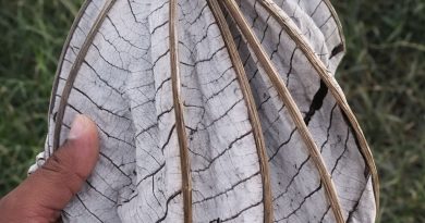 Si tu próstata no funciona para nada y si está muy afectada, tienes que saberlo