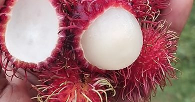 Lo que esto puede hacer, te favorecerá en todo