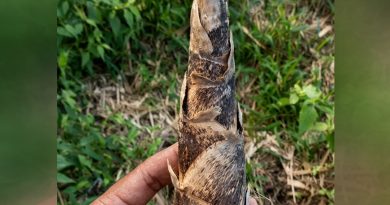 Si quieres evitar estas tres cosas, aqui te dejo como hacerlo