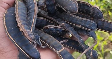 Si sientes que no has podido vencer la gastritis, te recomiendo que leas muy bien esta información